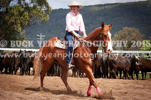 Vacy 24-327