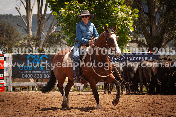 Vacy 24-619