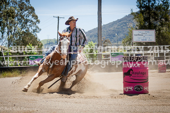 Clovers Nov sun-377