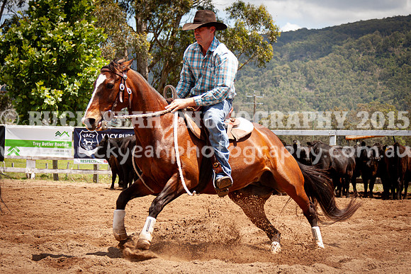 Vacy 24-491