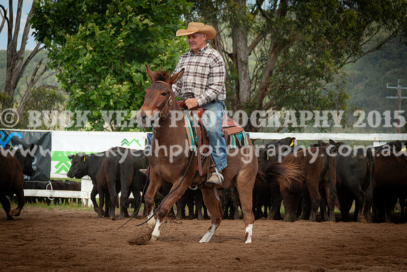 Vacy 24-166