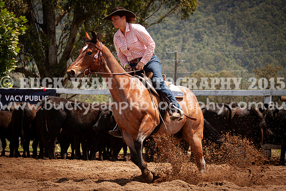 Vacy 24-593