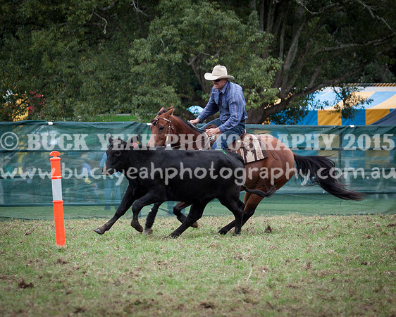 Stroud Show 2