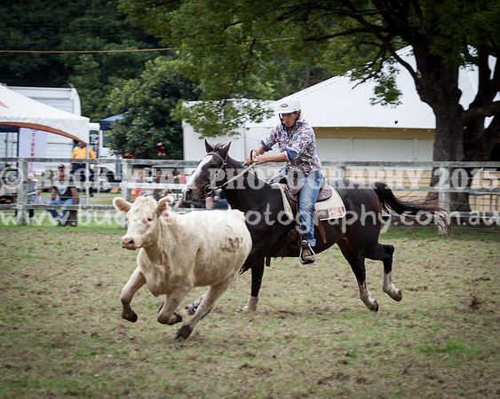 Stroud Show 4