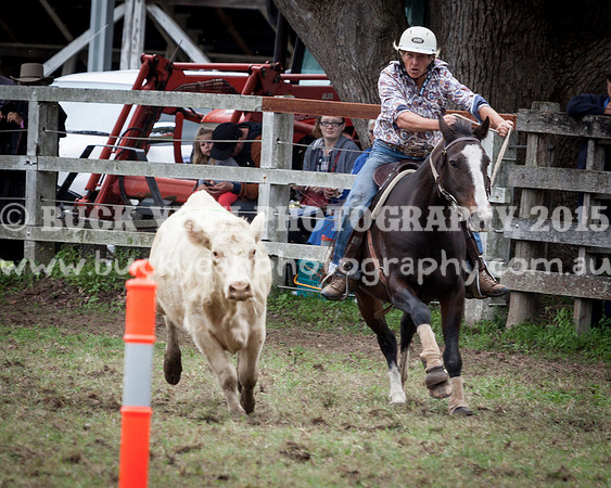 Stroud Show 5