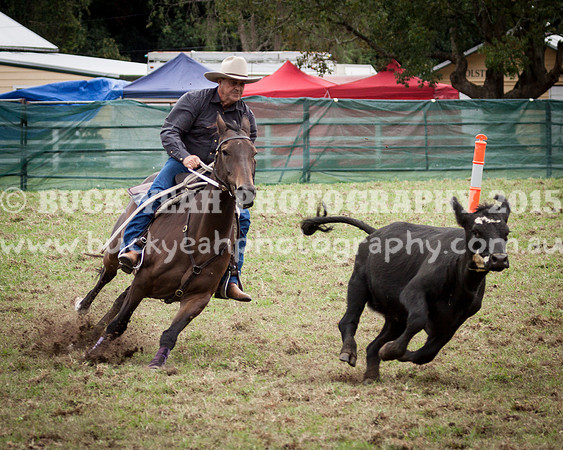 Stroud Show 6