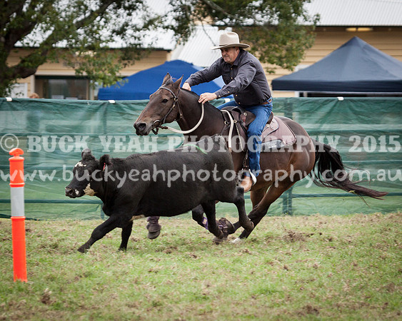 Stroud Show 7