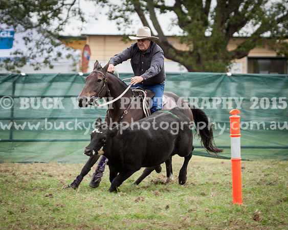 Stroud Show 8