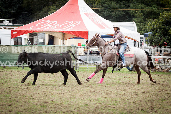 Stroud Show 9