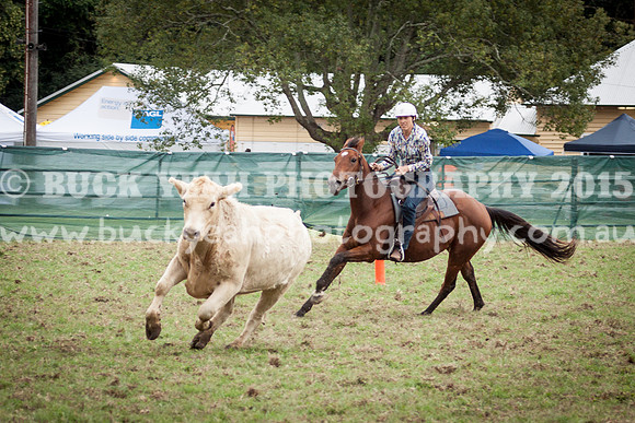 Stroud Show 10