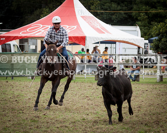Stroud Show 11