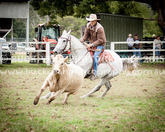 Stroud Show 13
