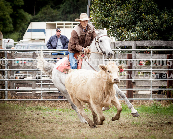 Stroud Show 12