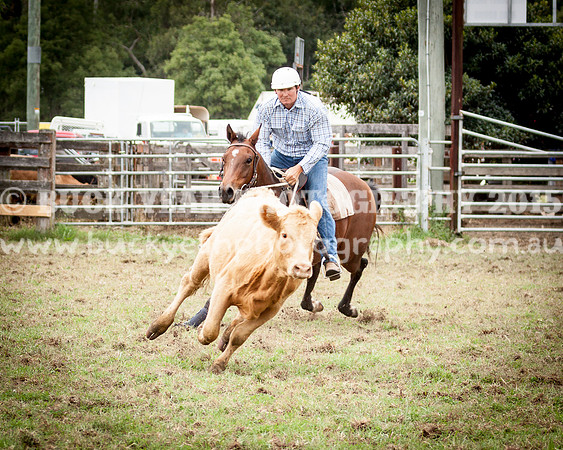 Stroud Show 14
