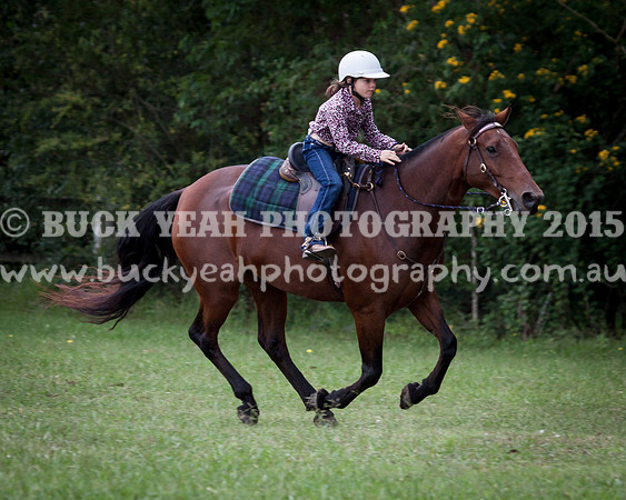 Stroud Show 15