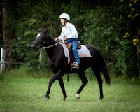 Stroud Show 22