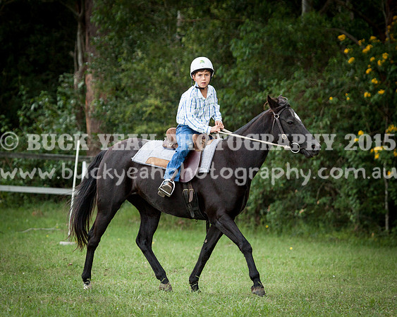Stroud Show 23