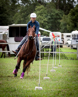 Stroud Show 25