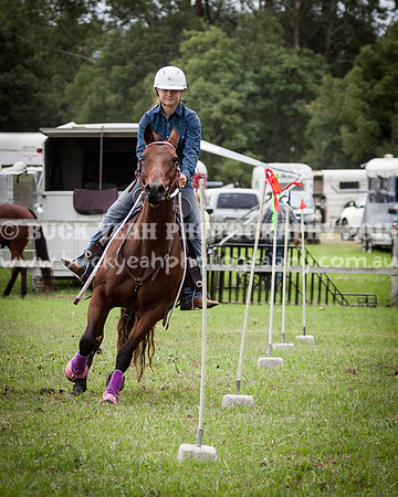 Stroud Show 25