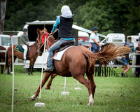 Stroud Show 28