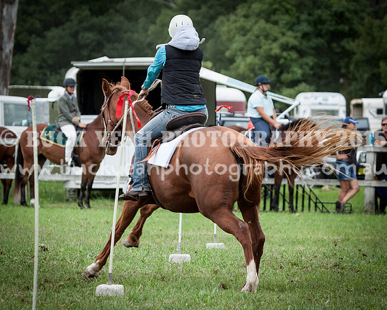 Stroud Show 28