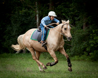 Stroud Show 27
