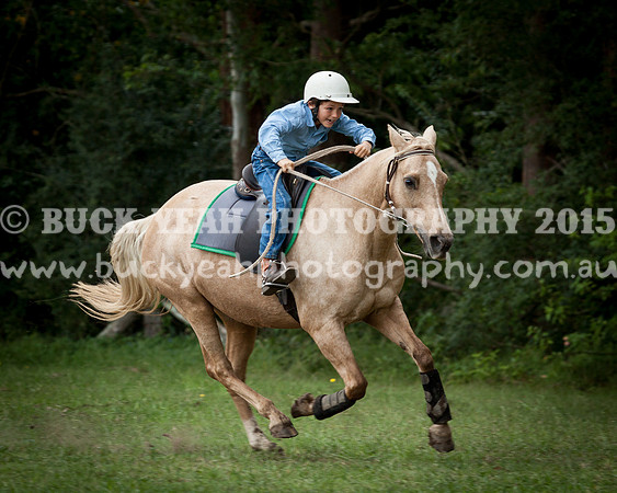 Stroud Show 27