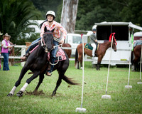 Stroud Show 29