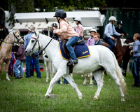 Stroud Show 31