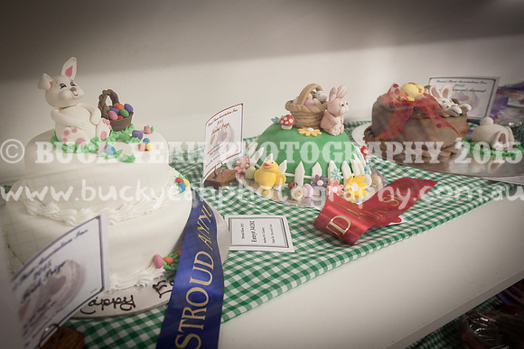 Stroud Show 34