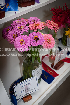 Stroud Show 36