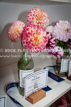 Stroud Show 39