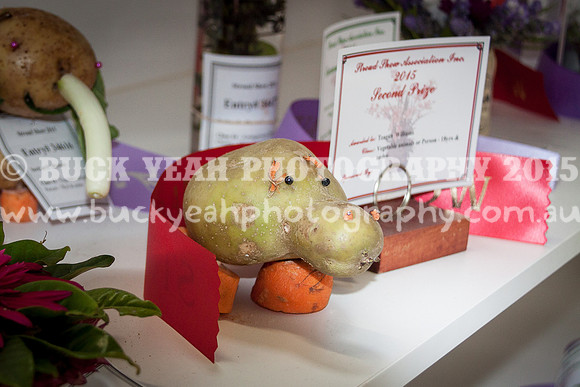 Stroud Show 40