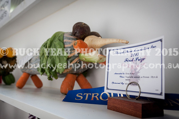 Stroud Show 41