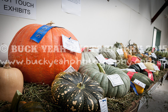 Stroud Show 44