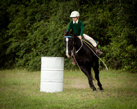 Stroud Show 60