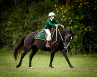 Stroud Show 59