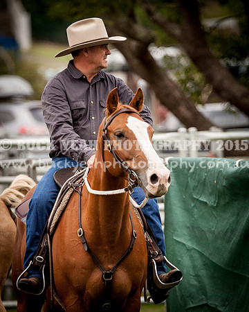 Stroud Show 81