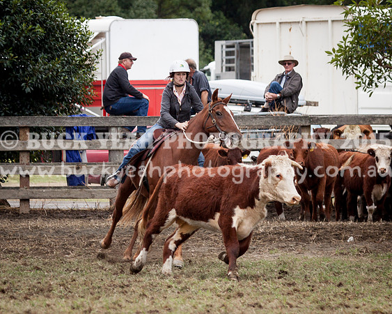Stroud Show 80