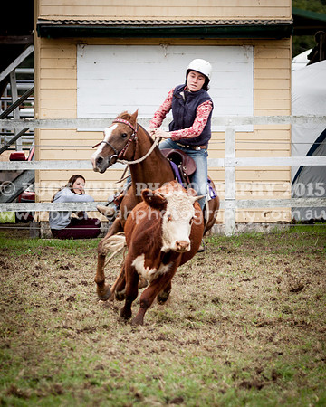 Stroud Show 82