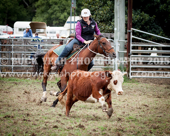 Stroud Show 84