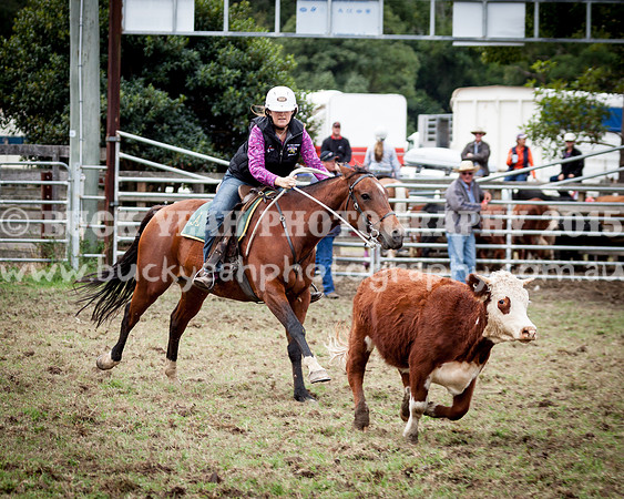 Stroud Show 85