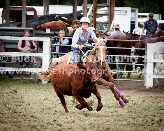 Stroud Show 88