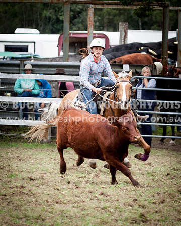 Stroud Show 86