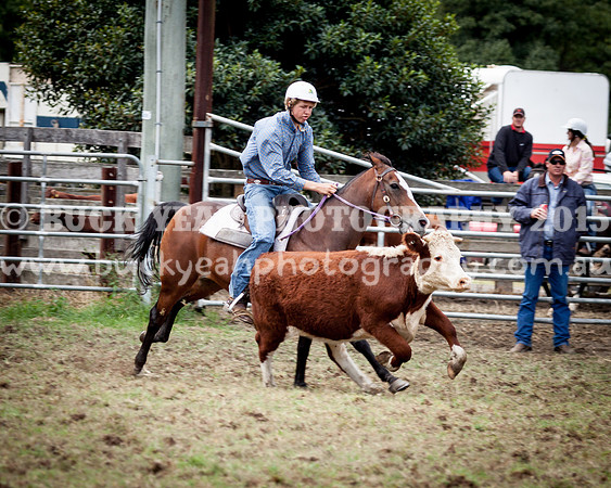 Stroud Show 90
