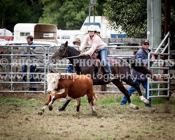 Stroud Show 93