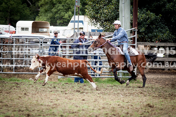 Stroud Show 95