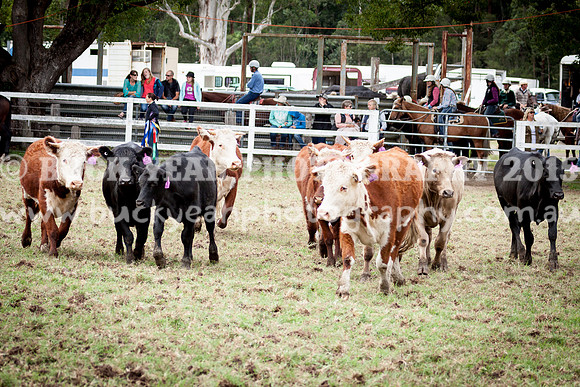 Stroud Show 96