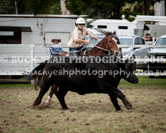 Stroud Show 99
