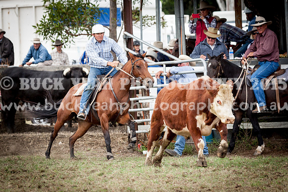 Stroud Show 100